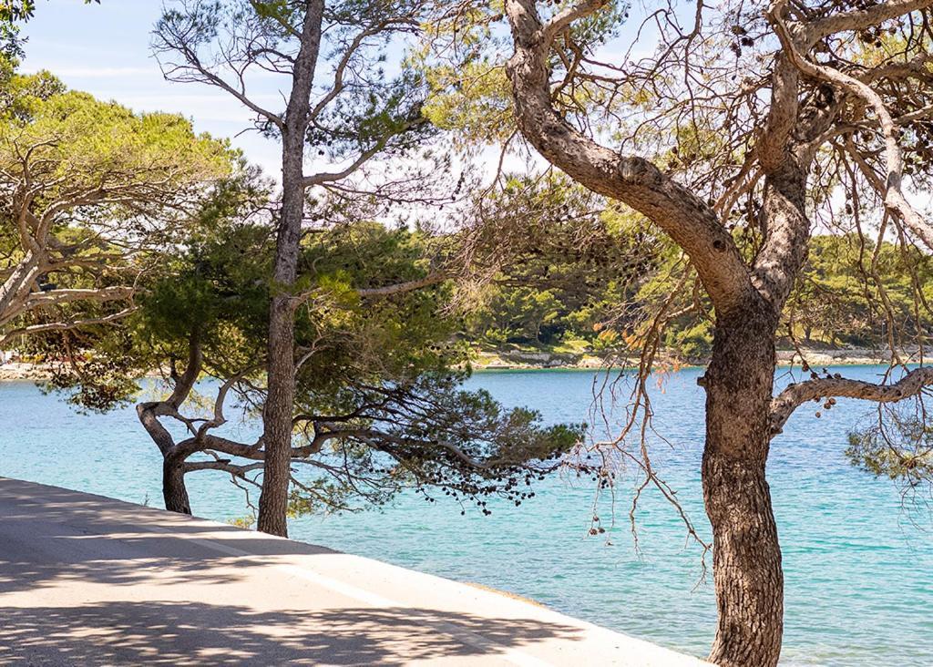 Cavtat - Panoramic Sea View Apartment Bagian luar foto